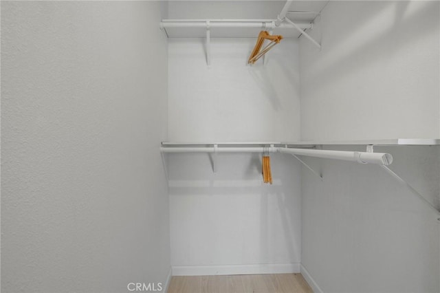 walk in closet featuring light hardwood / wood-style floors