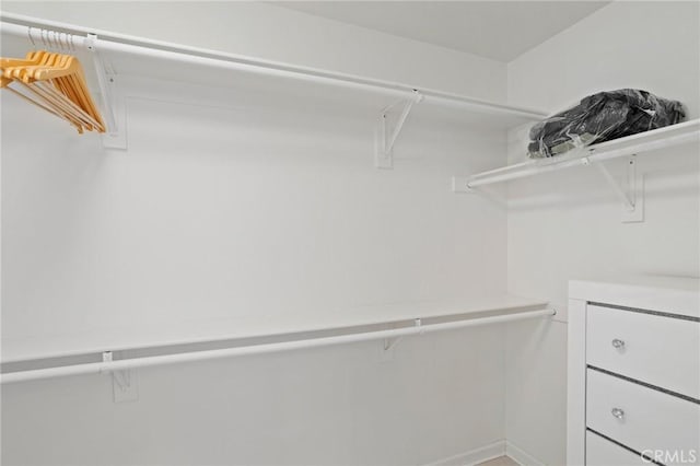 view of spacious closet