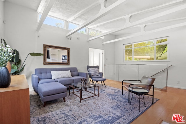 living room featuring wood-type flooring