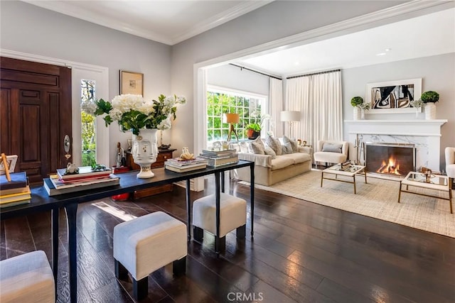 dining space featuring crown molding, dark wood-type flooring, and a fireplace