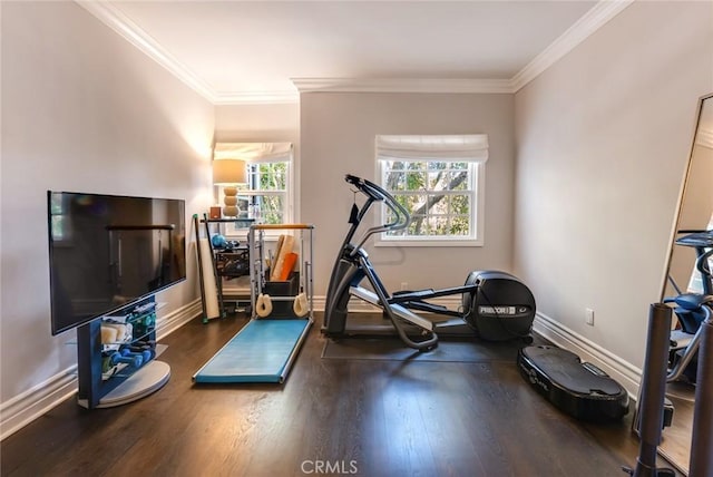 exercise area featuring dark hardwood / wood-style flooring and ornamental molding