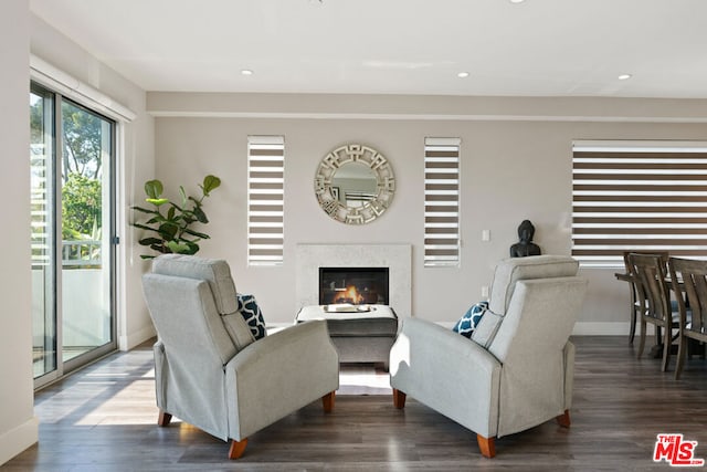 living room featuring dark hardwood / wood-style flooring