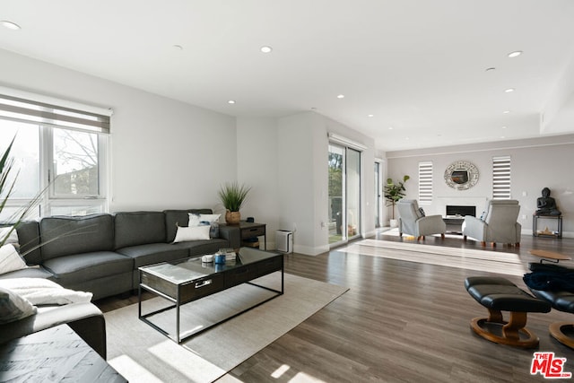 living room featuring plenty of natural light and wood-type flooring