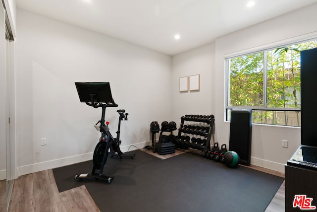 exercise room with hardwood / wood-style floors