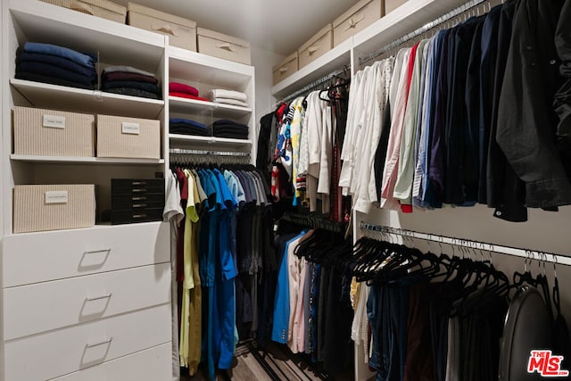 view of walk in closet