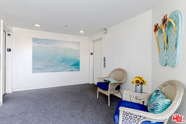 sitting room featuring carpet floors