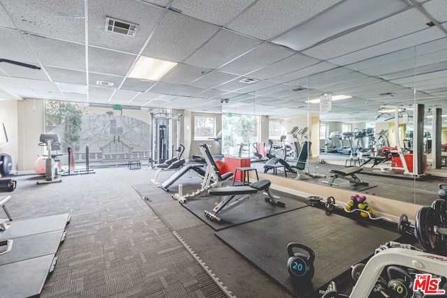 workout area with a paneled ceiling and carpet floors