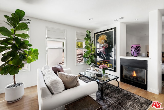 living room featuring hardwood / wood-style flooring