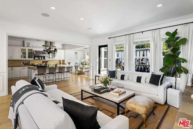 living room featuring a notable chandelier, crown molding, and light hardwood / wood-style flooring