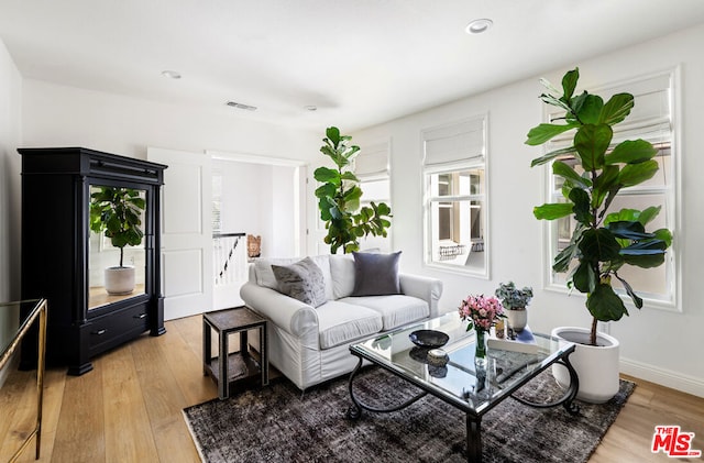 living room featuring hardwood / wood-style floors