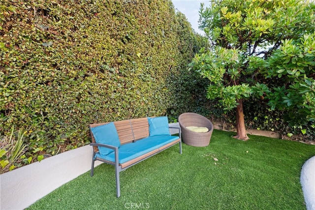 331 Ledroit St, Laguna Beach, CA 92651 - view of yard