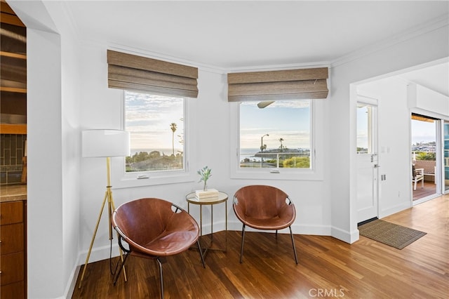 331 Ledroit St, Laguna Beach, CA 92651 - living area featuring baseboards, ornamental molding, and wood finished floors
