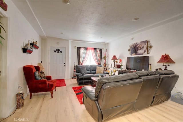 living room with a textured ceiling and light wood-type flooring