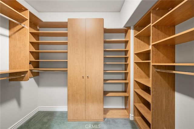 spacious closet with dark carpet