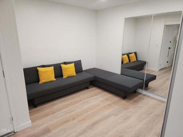 living room featuring light hardwood / wood-style flooring