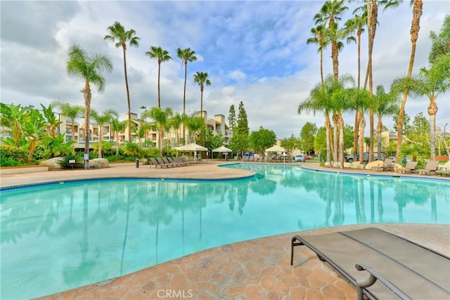 view of pool featuring a patio