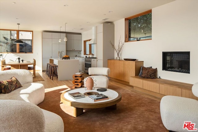 living room with light wood-type flooring