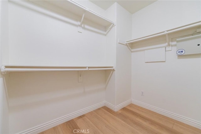 spacious closet featuring wood-type flooring