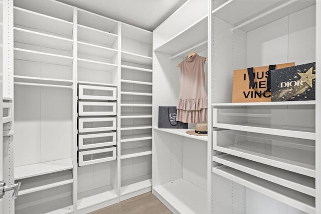 spacious closet with wood-type flooring