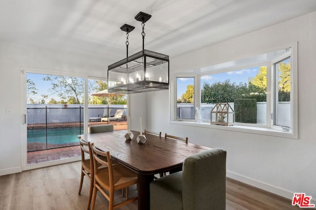 dining space with hardwood / wood-style floors and a healthy amount of sunlight