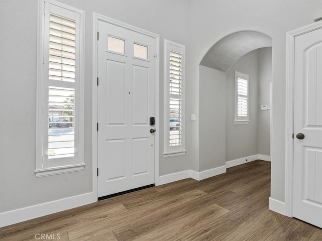 foyer entrance featuring wood-type flooring