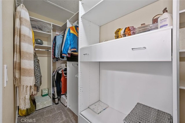 walk in closet featuring carpet flooring