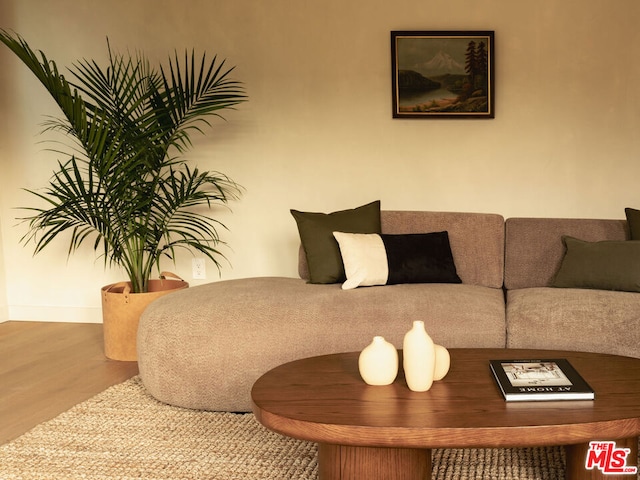 living room with hardwood / wood-style flooring