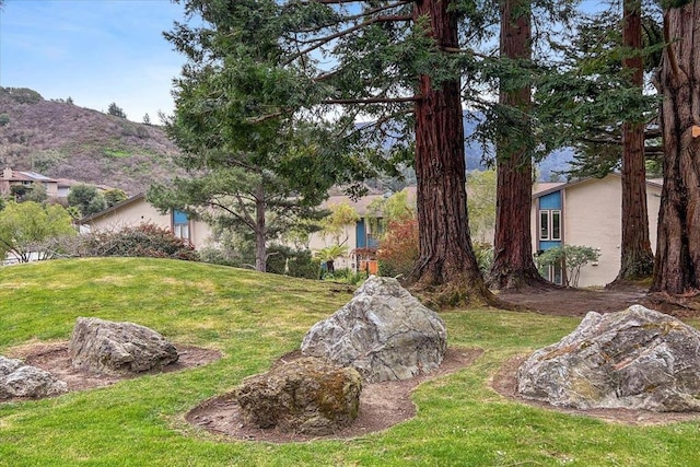 view of yard with a mountain view