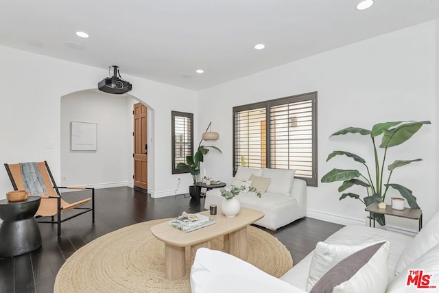 living room with dark hardwood / wood-style floors