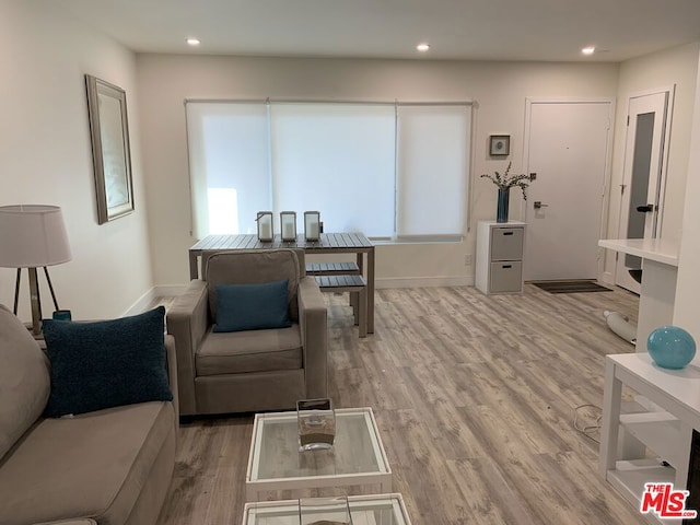 living room featuring light wood-type flooring