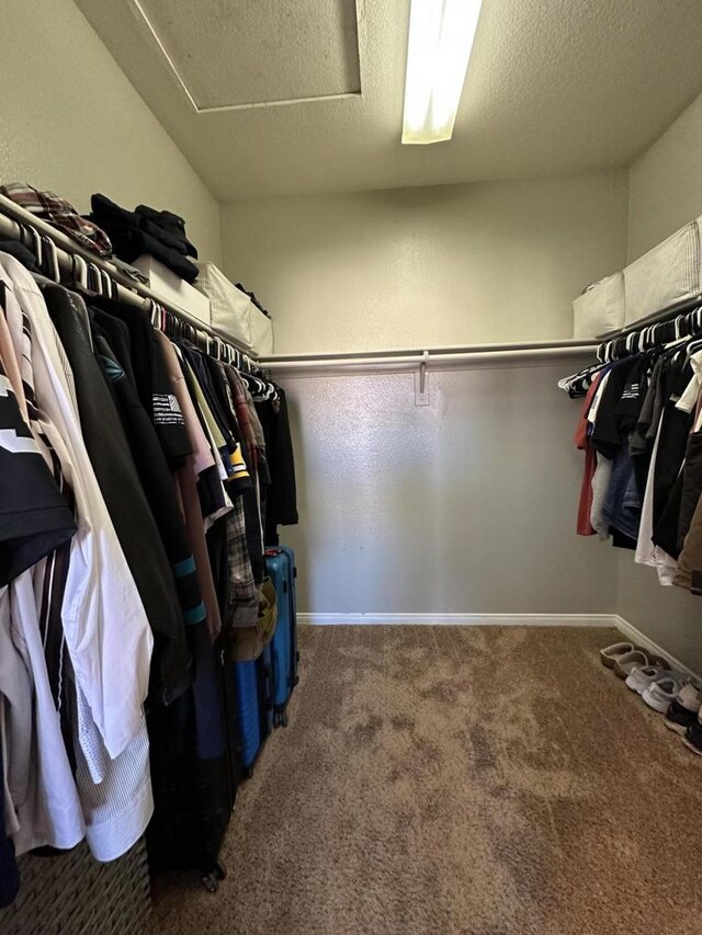 walk in closet with carpet