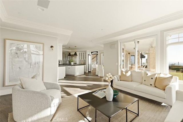 living room featuring ornamental molding and dark hardwood / wood-style flooring