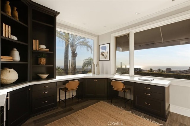 office with crown molding, dark hardwood / wood-style floors, and built in desk