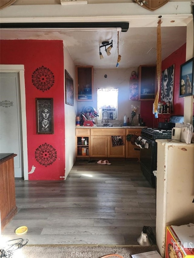 kitchen with sink, dark hardwood / wood-style flooring, and black gas range