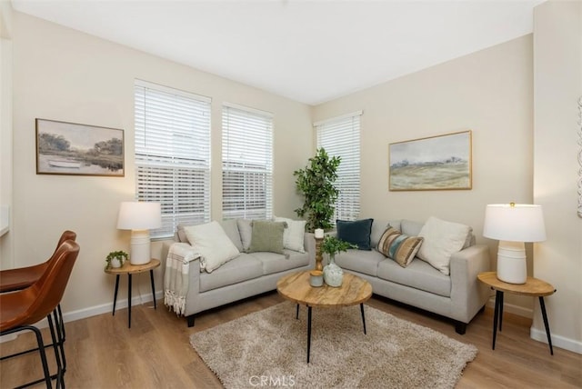 living room featuring light hardwood / wood-style flooring