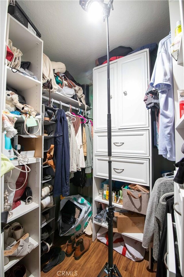 spacious closet featuring wood-type flooring