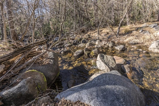 view of local wilderness