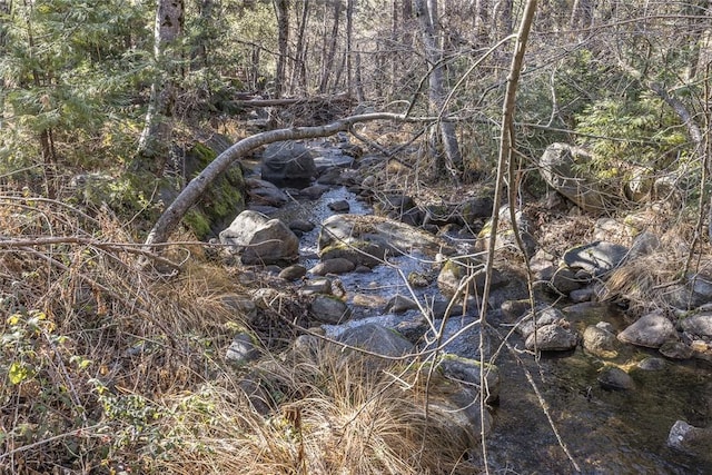 view of local wilderness