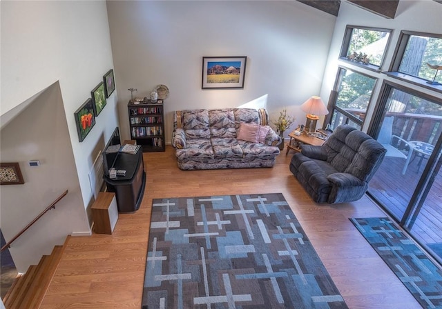 living room with hardwood / wood-style flooring and a towering ceiling