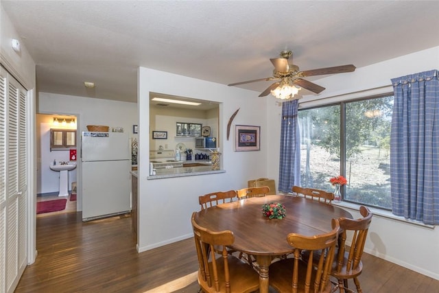 dining space featuring ceiling fan and dark hardwood / wood-style flooring