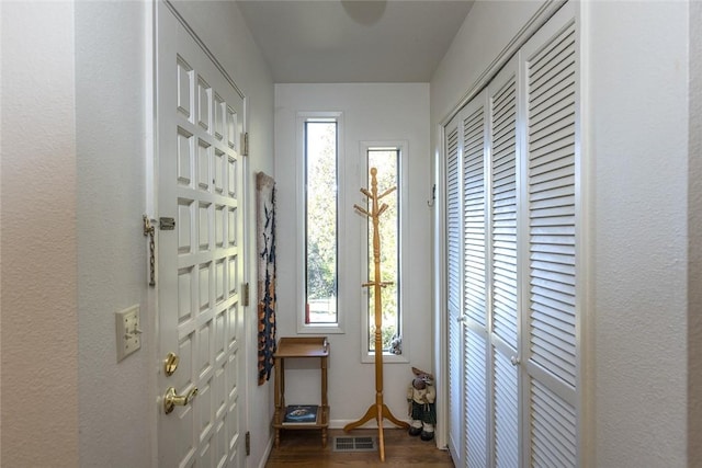 entryway with dark wood-type flooring and a wealth of natural light