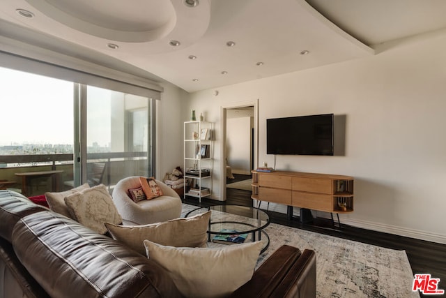 living room featuring dark wood-type flooring