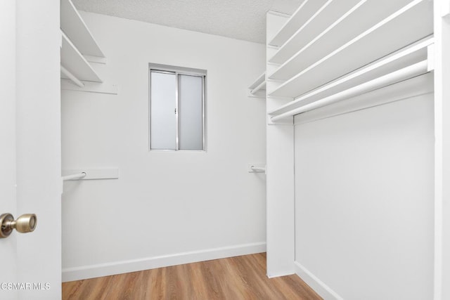 walk in closet with light hardwood / wood-style flooring