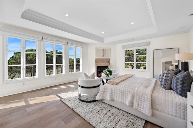 bedroom featuring a raised ceiling, ornamental molding, and multiple windows