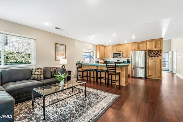 living room with dark hardwood / wood-style floors