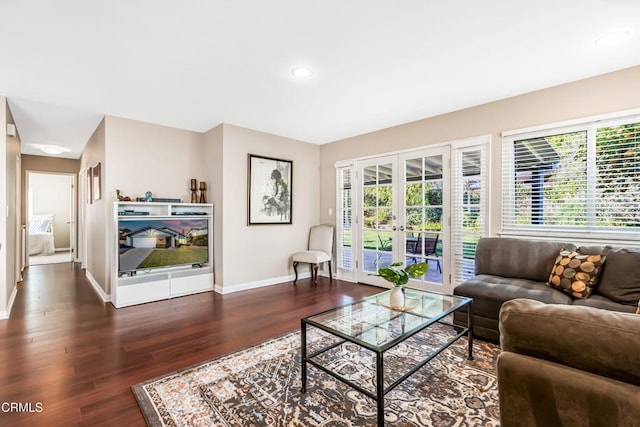 living room featuring dark hardwood / wood-style floors and french doors