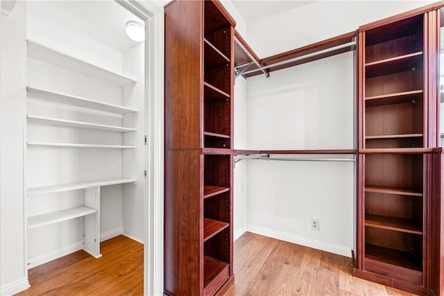 walk in closet with light wood-type flooring