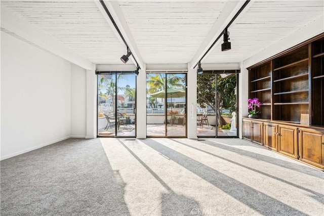 unfurnished living room featuring track lighting, a wall of windows, and carpet