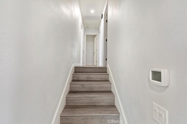 stairs featuring wood-type flooring