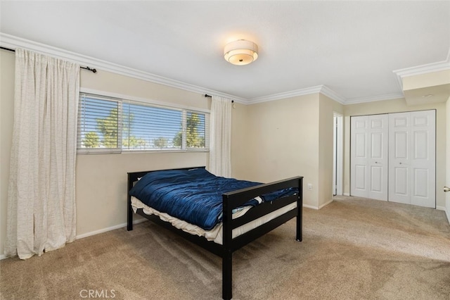 carpeted bedroom featuring crown molding and a closet